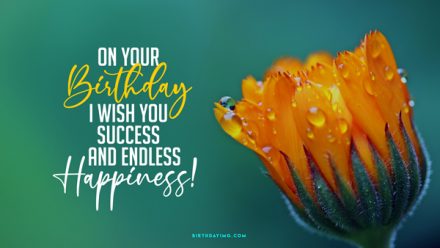 Free On your Birthday I wish you success and endless happiness! - birthdayimg.com