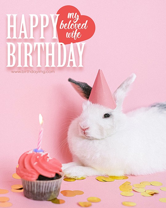 Free Cute Bunny Happy Birthday Image for Wife - birthdayimg.com