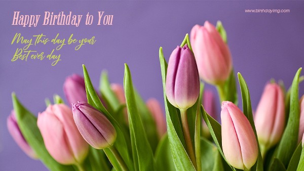 Free Purple Happy Birthday Wallpaper with Tulips - birthdayimg.com
