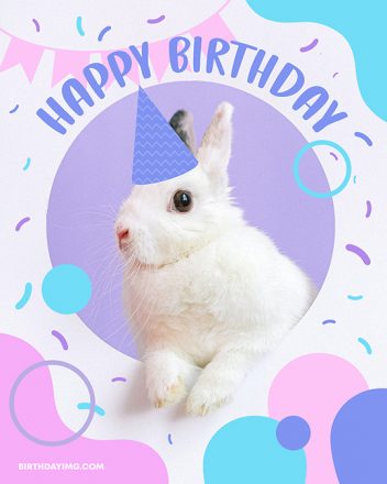 Free Happy Birthday Image with Cute Bunny - birthdayimg.com