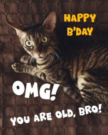 Free Funny Happy Birthday Image For Brother With Cat - birthdayimg.com