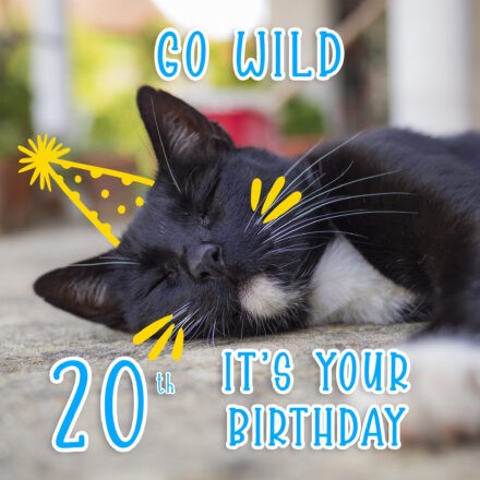Free 20th Years Happy Birthday Image With Funny Cat - birthdayimg.com