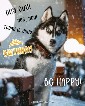 Free Happy Birthday Image For Guy With Funny Dog and Snow - birthdayimg.com