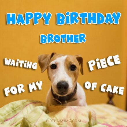 Free Funny Happy Birthday Image For Brother With Ginger Dog - birthdayimg.com
