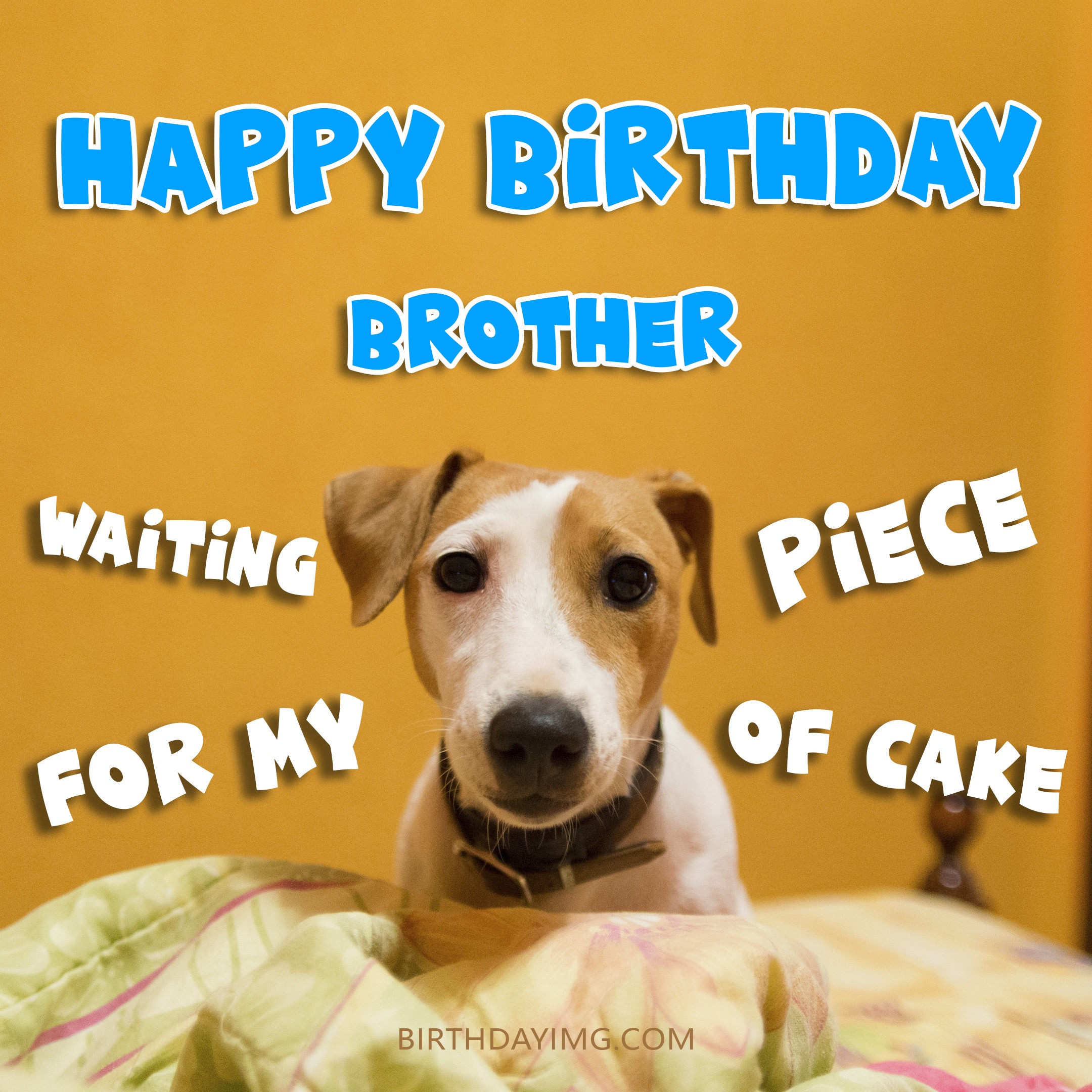 Free Funny Happy Birthday Image For Brother With Ginger Dog 