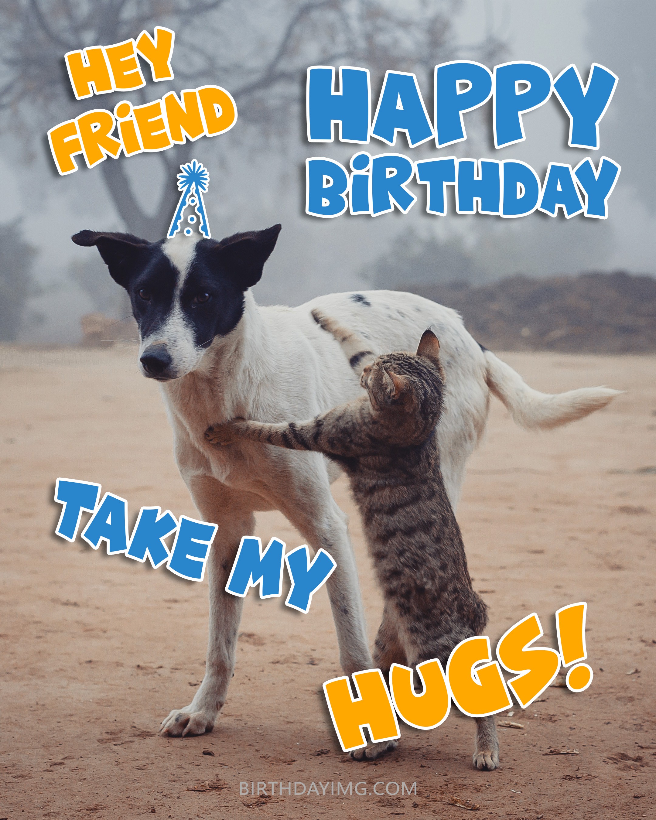 Free Friend Happy Birthday Image With Funny Cat And Dog - birthdayimg.com