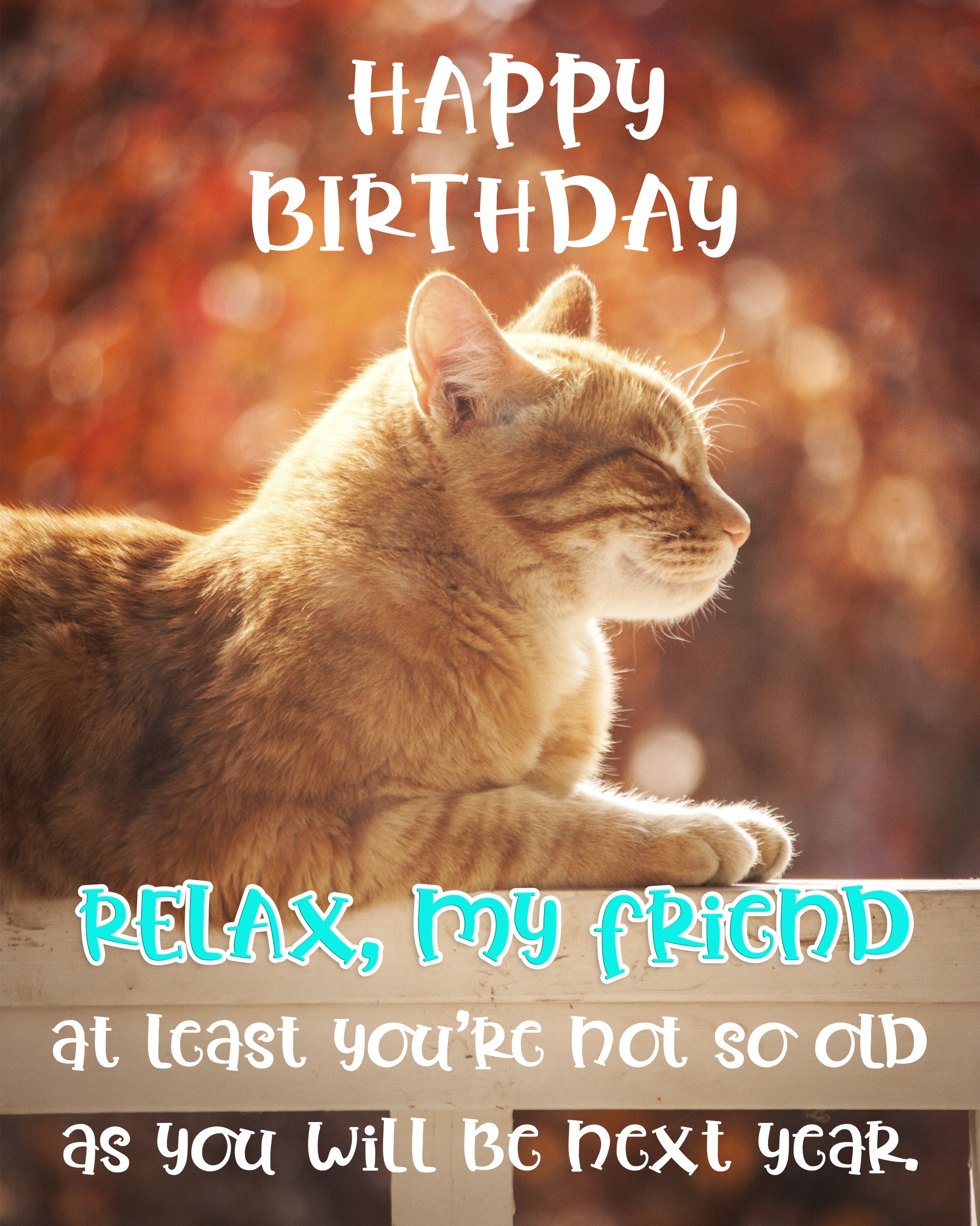 Free Friend Happy Birthday Image With Funny Cat - birthdayimg.com