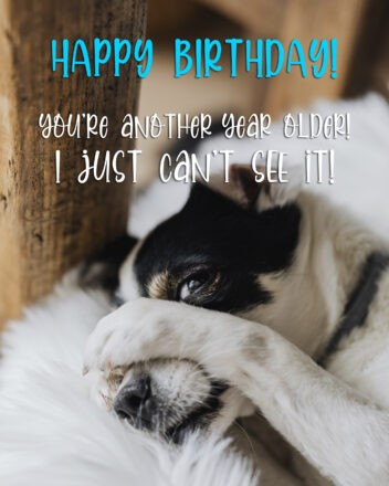 Free Happy birthday Image For Him (Man) With Funny Dog - birthdayimg.com