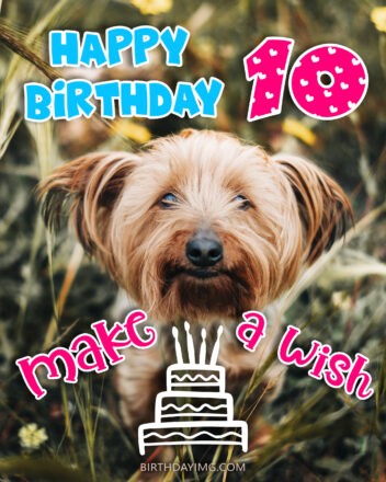 Free 10th Years Happy Birthday Image With Cute Dog and Cake - birthdayimg.com
