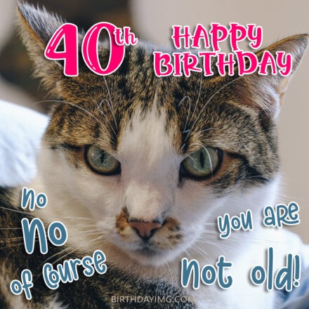 Free You Are Not Old 40th Years Happy Birthday Image With Cat - birthdayimg.com