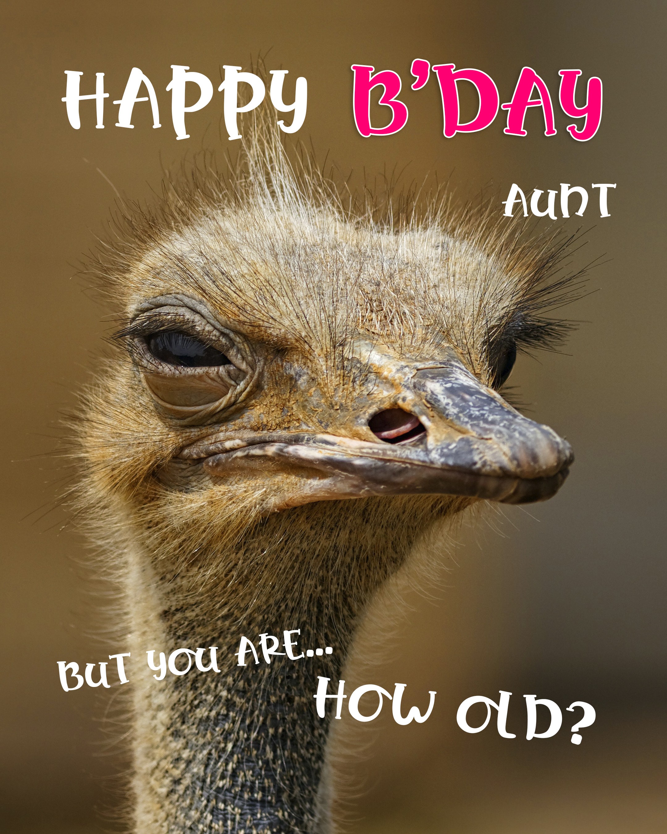 Free Funny Happy Birthday Image For Aunt With Ostrich - birthdayimg.com