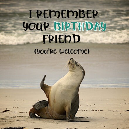 Free Friend Happy Birthday Image With Funny Seal - birthdayimg.com
