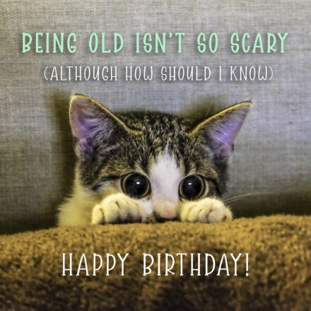 Free Funny Happy Birthday Image With Cat - birthdayimg.com
