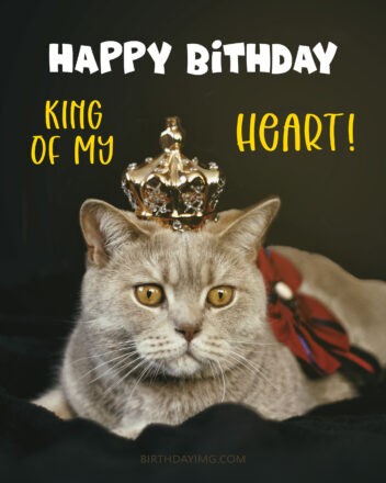 Free Funny Happy Birthday Image For Husband With Cat with Crown - birthdayimg.com