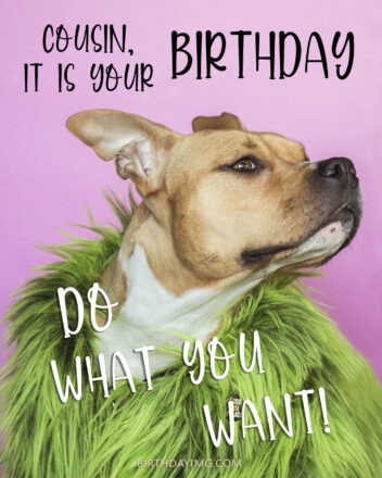 Free Birthday Image For Cousin With Dog on Pink Background - birthdayimg.com