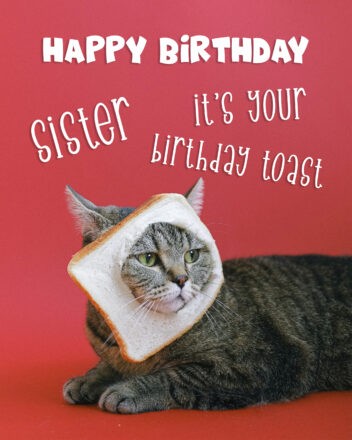Free Happy Birthday Image For Sisters With Funny Cat - birthdayimg.com