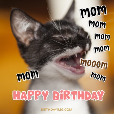 Free Funny Happy Birthday Image For Mom With Cat - birthdayimg.com
