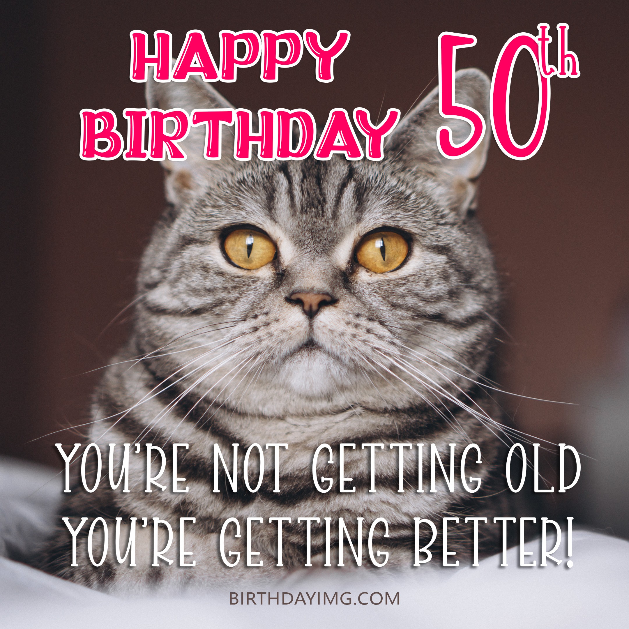 Free Funny 50th Years Happy Birthday Image With Fluffy Cat 