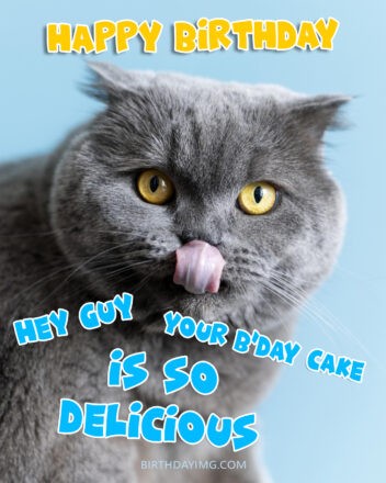 Free Happy Birthday Image For Guy Funny Grey Cat - birthdayimg.com