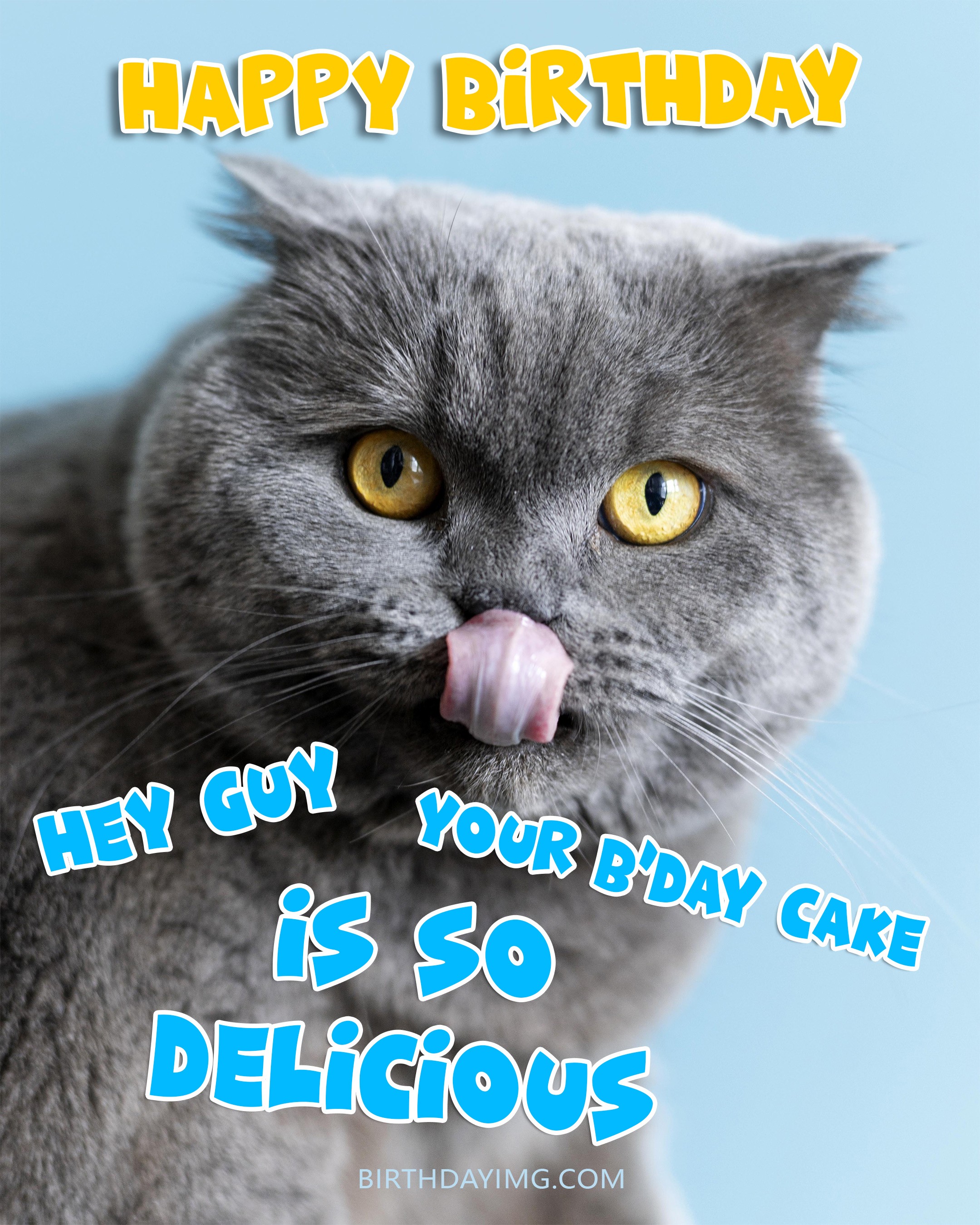 Free Happy Birthday Image For Guy Funny Grey Cat 