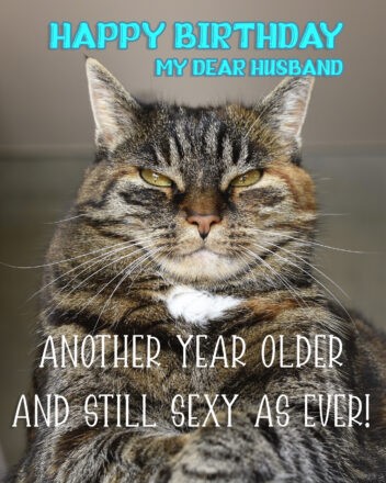 Free Funny Happy Birthday Image For Husband With Cat - birthdayimg.com
