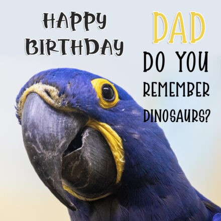 Free Happy Birthday Image For Dad With Funny Parrot - birthdayimg.com