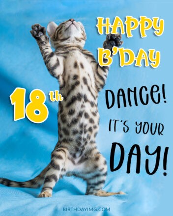 Free 18th Years Happy Birthday Image With Funny Cat - birthdayimg.com