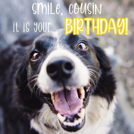 Free Funny Happy Birthday Image For Cousin With Dog - birthdayimg.com