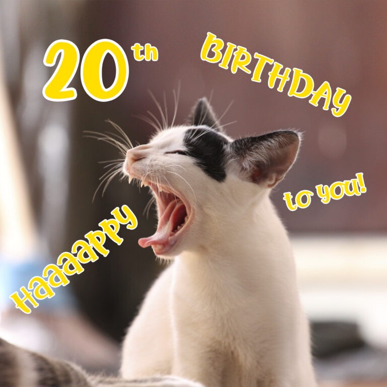 Free 20th Years Happy Birthday Image With Funny Cat - Birthdayimg.com