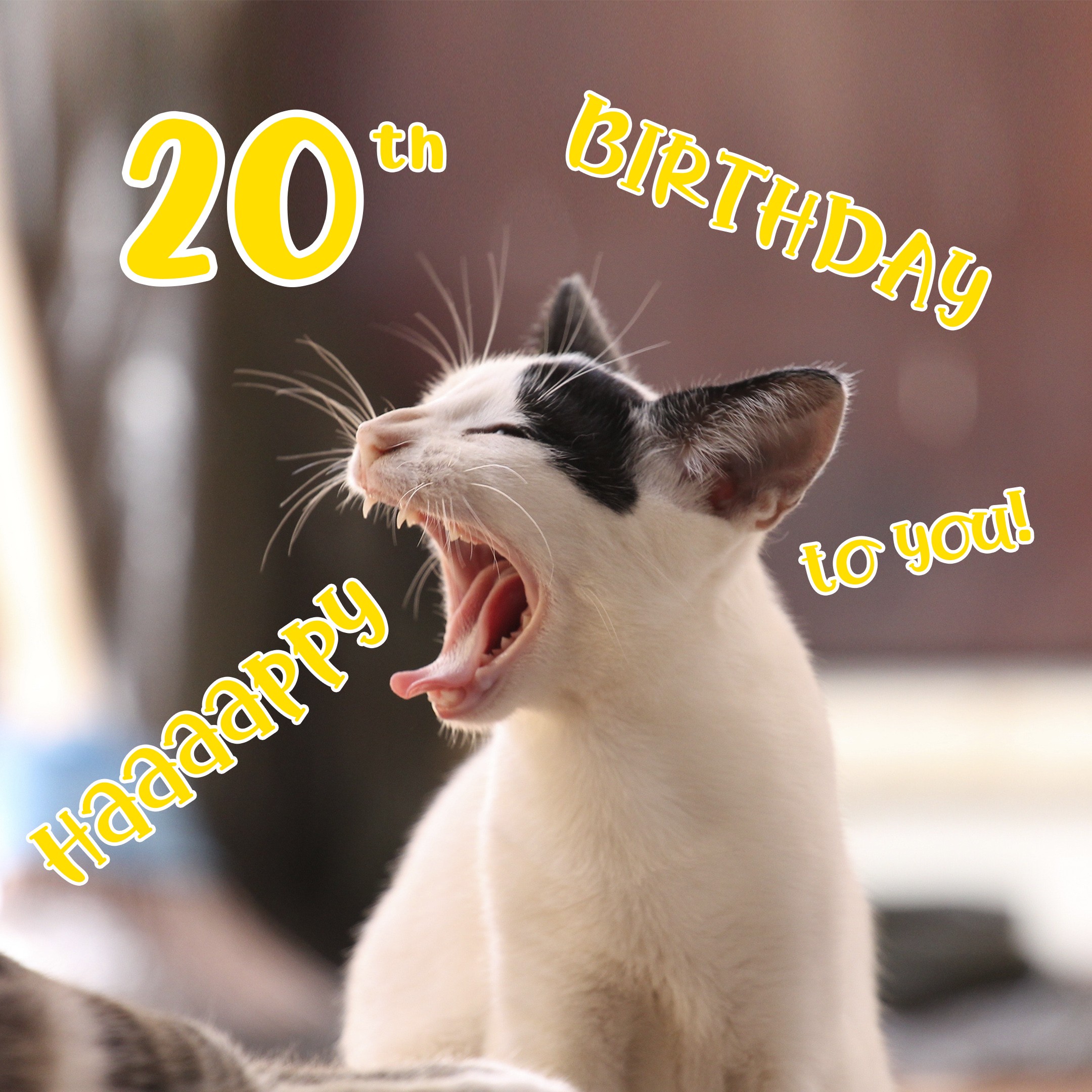 Free 20th Years Happy Birthday Image With Funny Cat 
