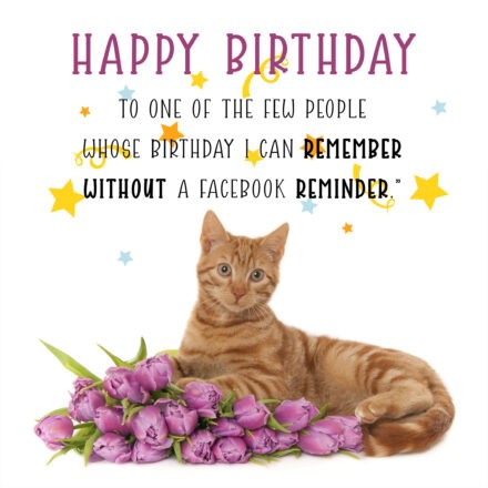Free Funny Happy Birthday Image With Flowers And Cat - birthdayimg.com