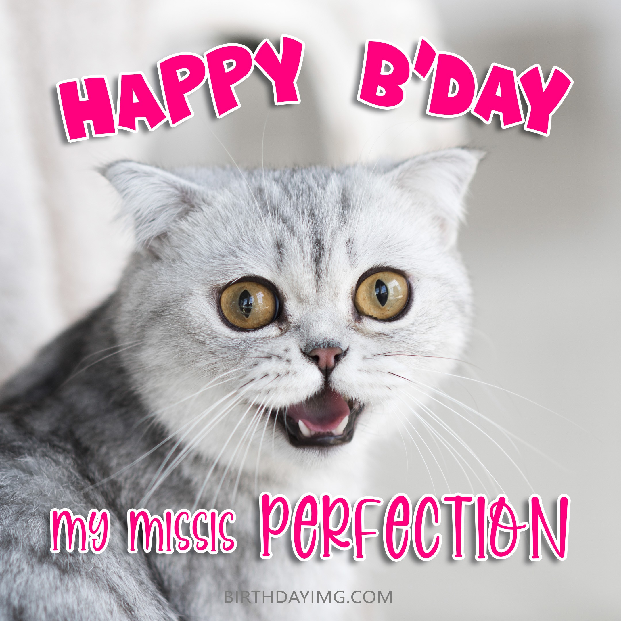 Free Funny Happy Birthday Image For Wife With Cute Cat - birthdayimg.com