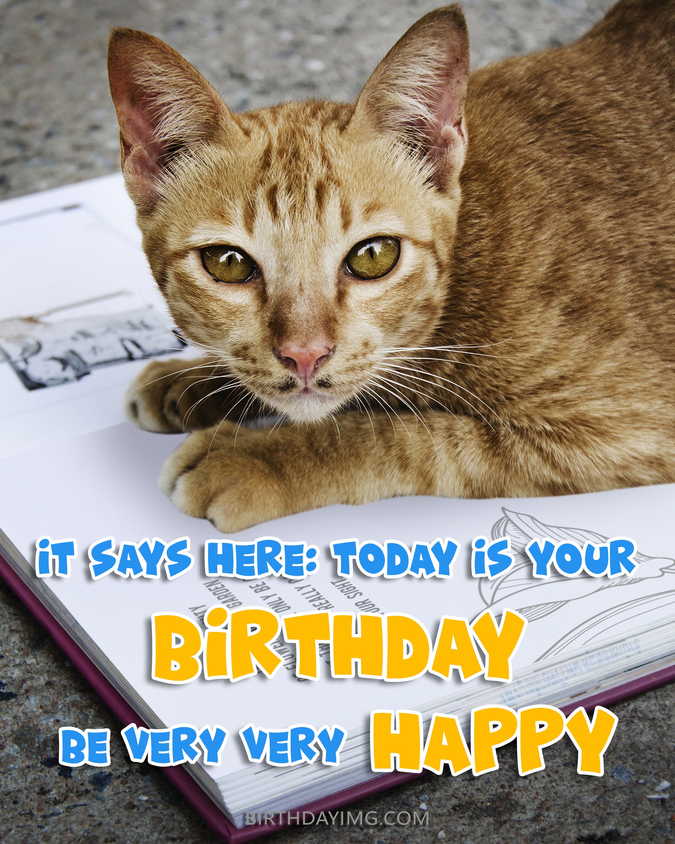 Free Funny Happy Birthday Image With Cute Red Cat - birthdayimg.com
