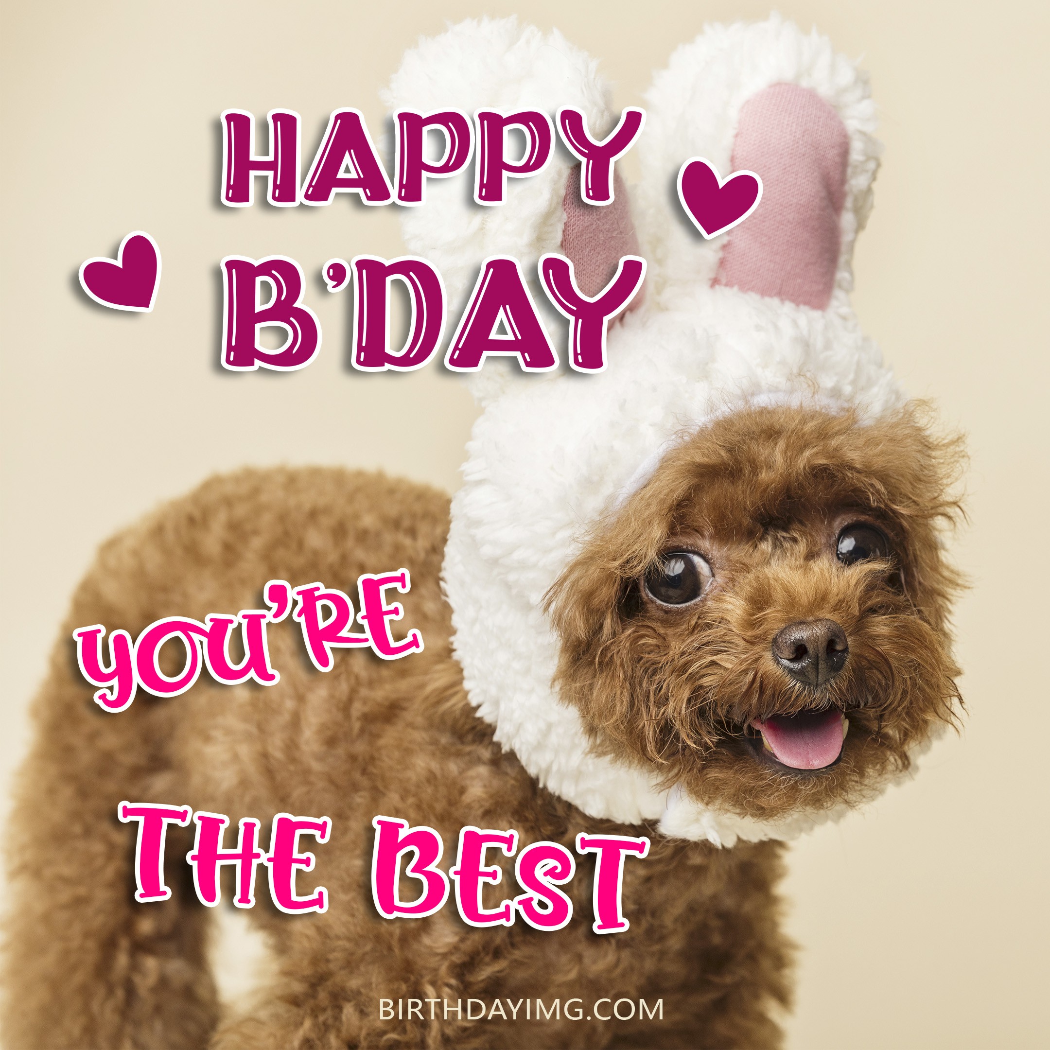 Free Funny Happy Birthday Image For Her (Woman) With Cute Dog - birthdayimg.com