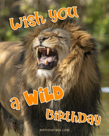 Free Funny Happy Birthday Images For Him (Man) With Lion - birthdayimg.com