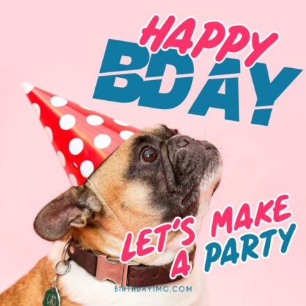 Free Funny Dog Happy Birthday Image - birthdayimg.com