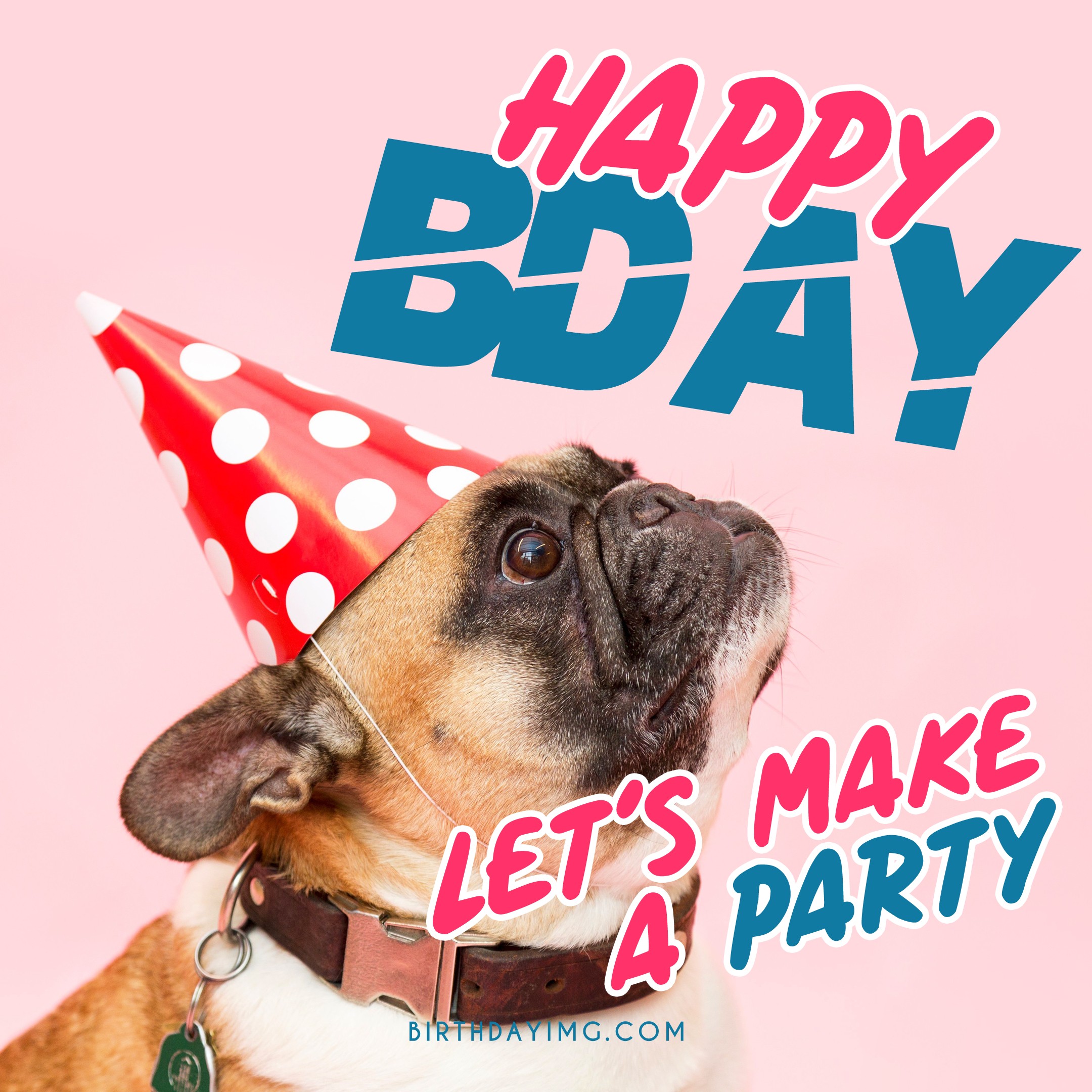 Free Funny Dog Happy Birthday Image - birthdayimg.com