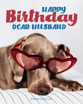 Free Funny Dog Happy Birthday Image - birthdayimg.com