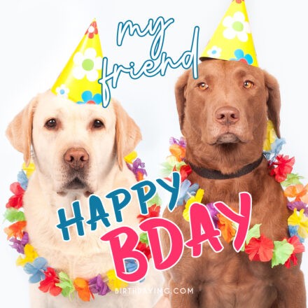 Free Funny Dogs Happy Birthday Image - birthdayimg.com