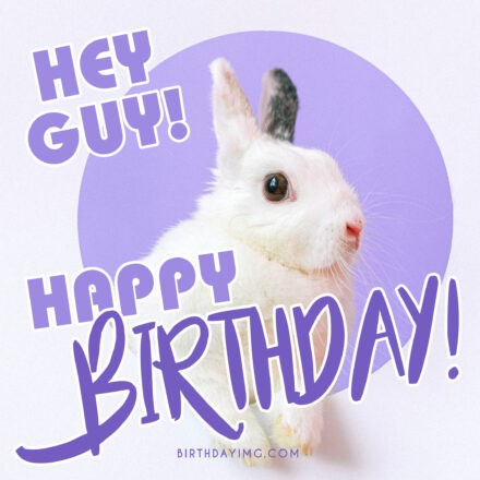 Free Funny Rabbit Happy Birthday Image - birthdayimg.com