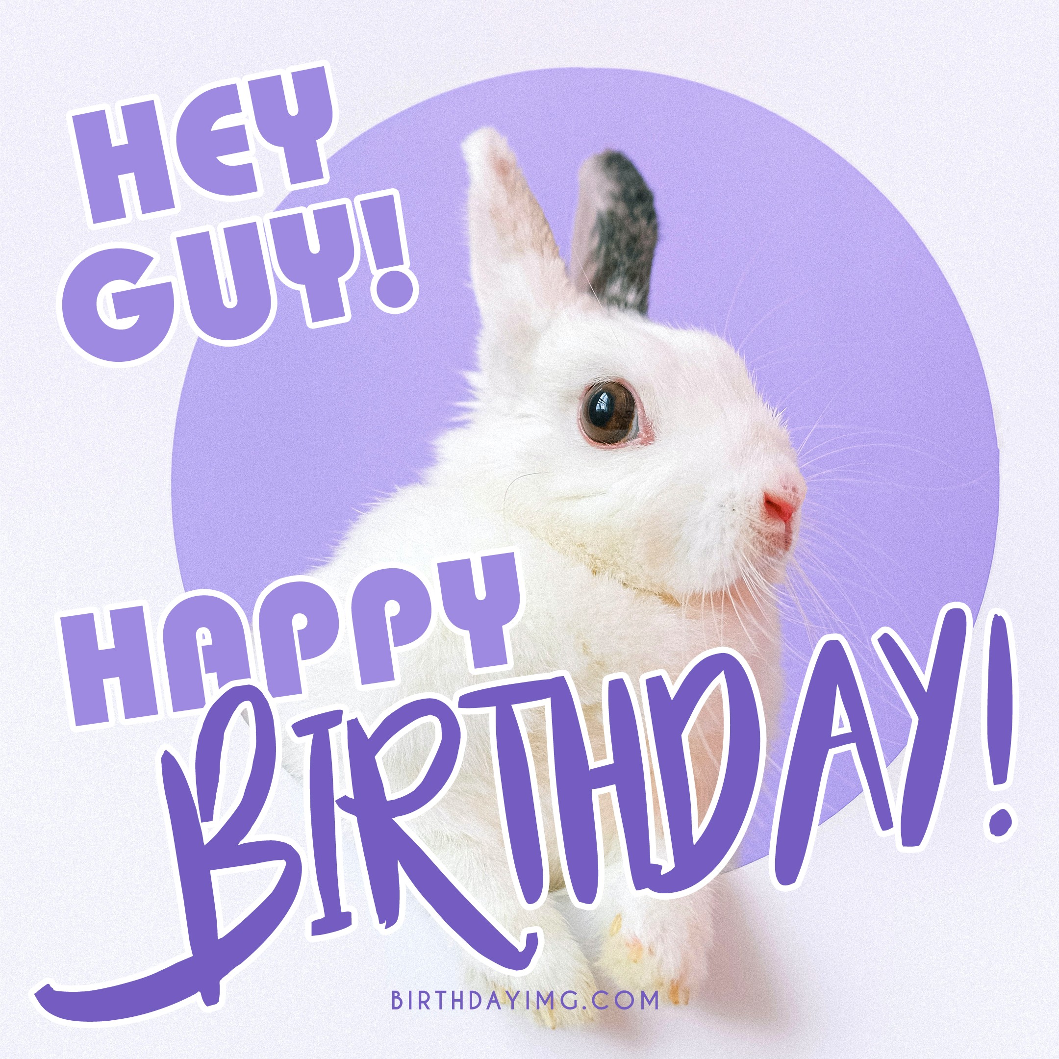 Free Funny Rabbit Happy Birthday Image 