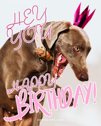 Funny Happy birthday Wishes and Images for Free 