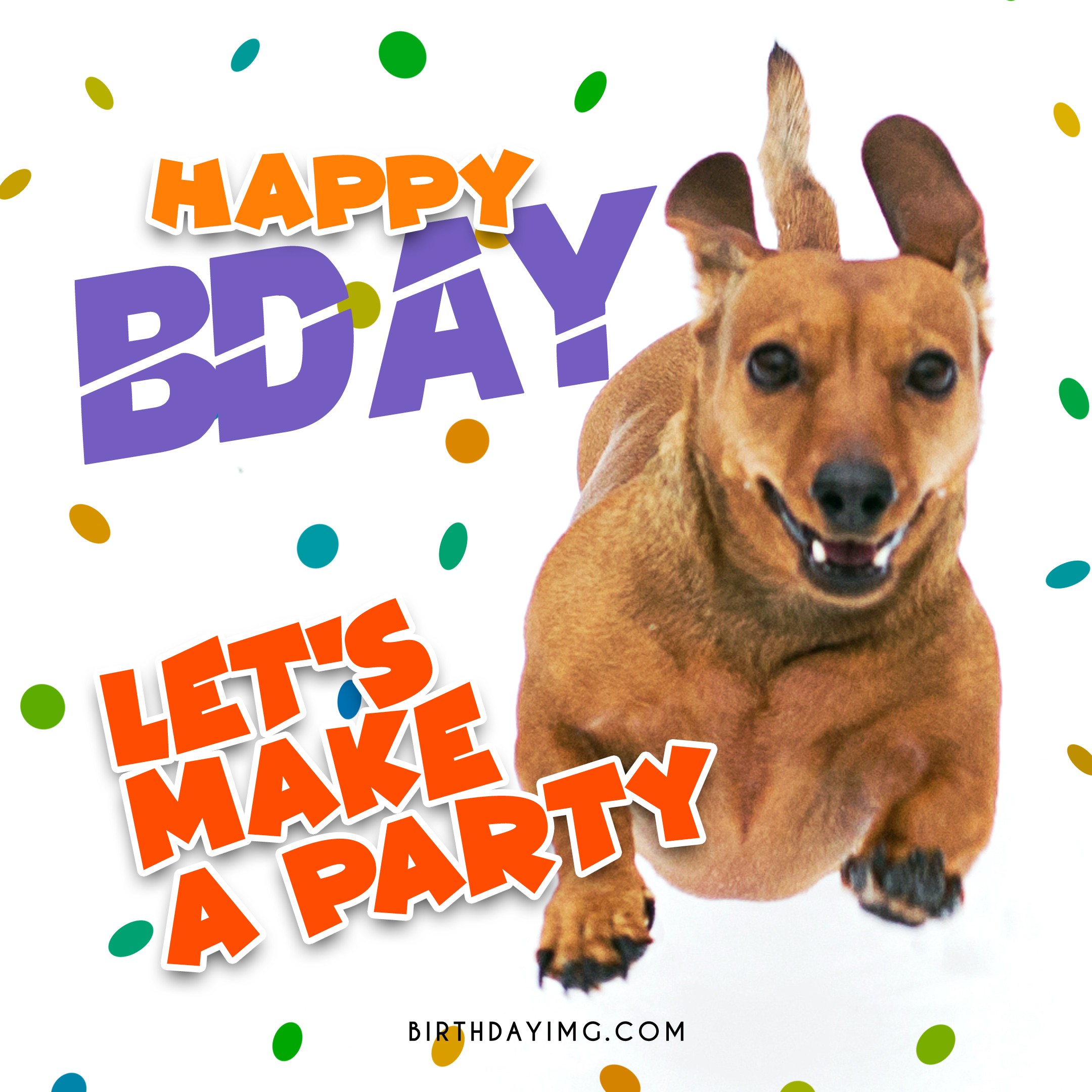 Free Funny Dog Happy Birthday Image 